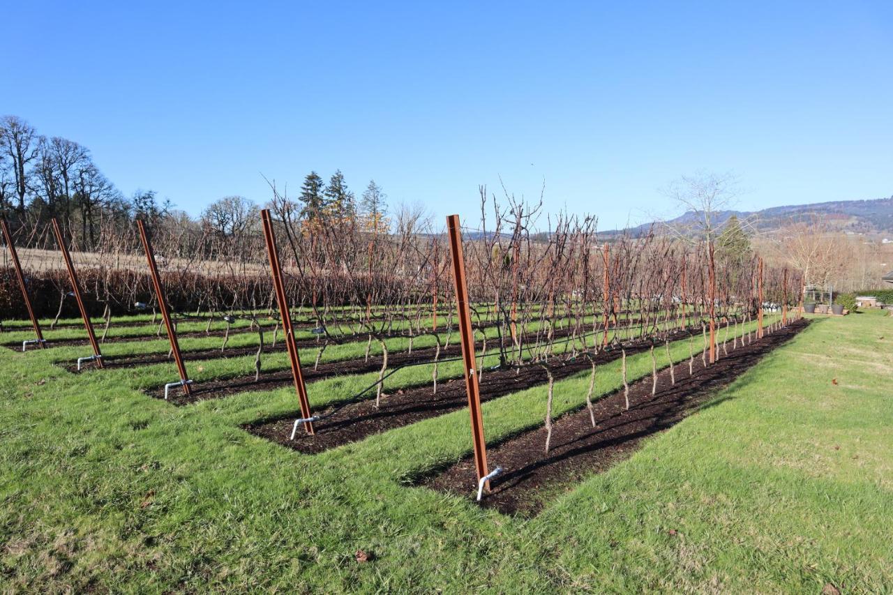 The Setting Inn Willamette Valley Newberg Bagian luar foto