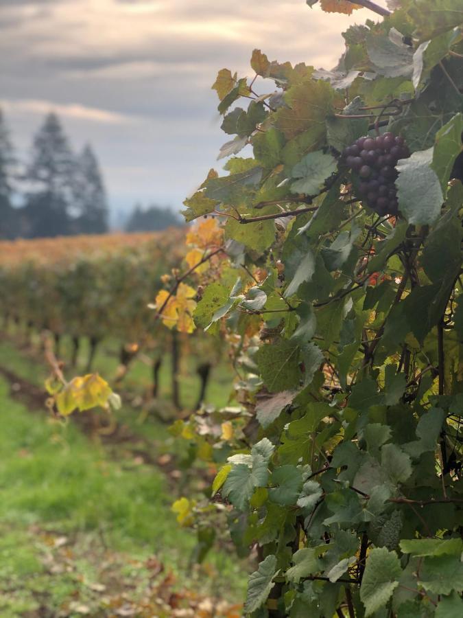 The Setting Inn Willamette Valley Newberg Bagian luar foto